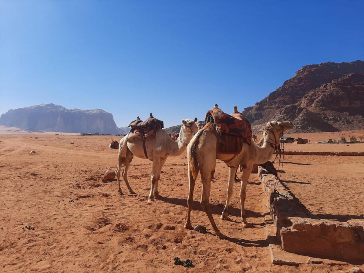 Wadi Rum Secrets Camp Экстерьер фото