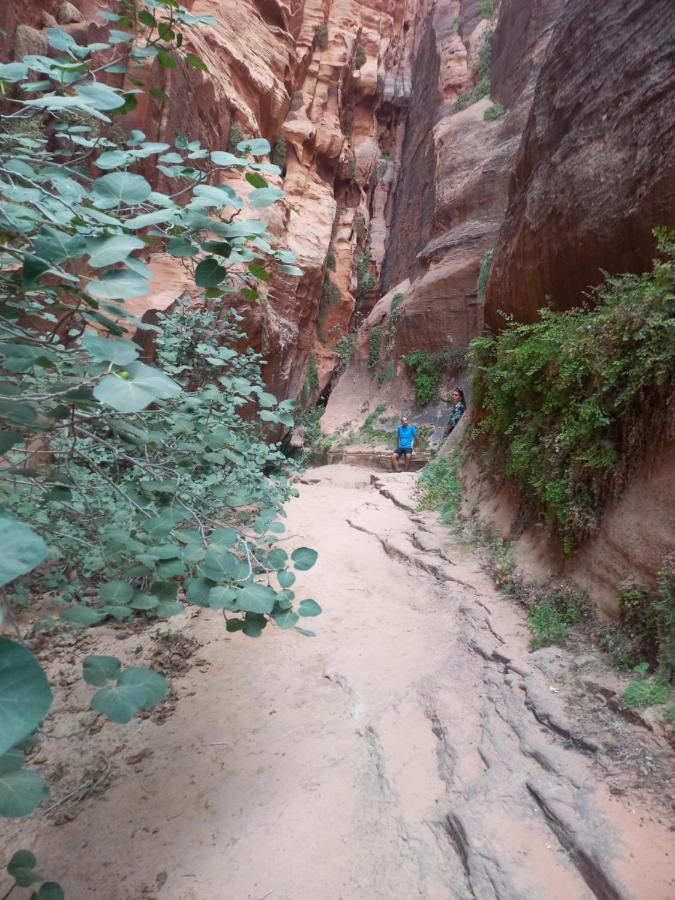 Wadi Rum Secrets Camp Экстерьер фото