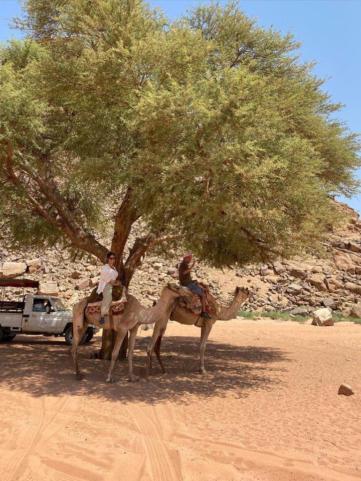 Wadi Rum Secrets Camp Экстерьер фото